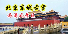 她的嫩逼被鸡巴日的好舒服视频中国北京-东城古宫旅游风景区